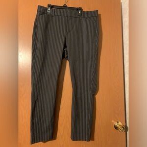 Dress pants